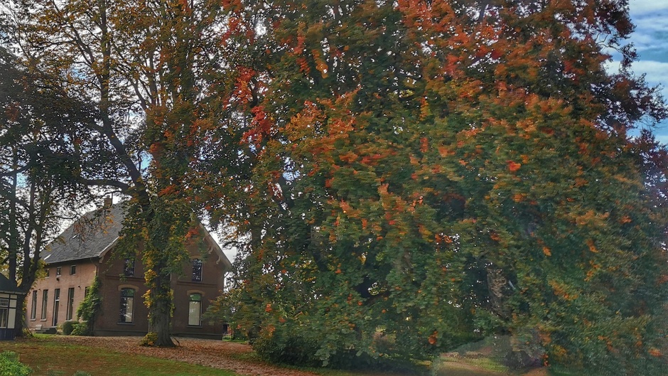 Blauwe luchten, herfst en nog veel groen in Doornenburg