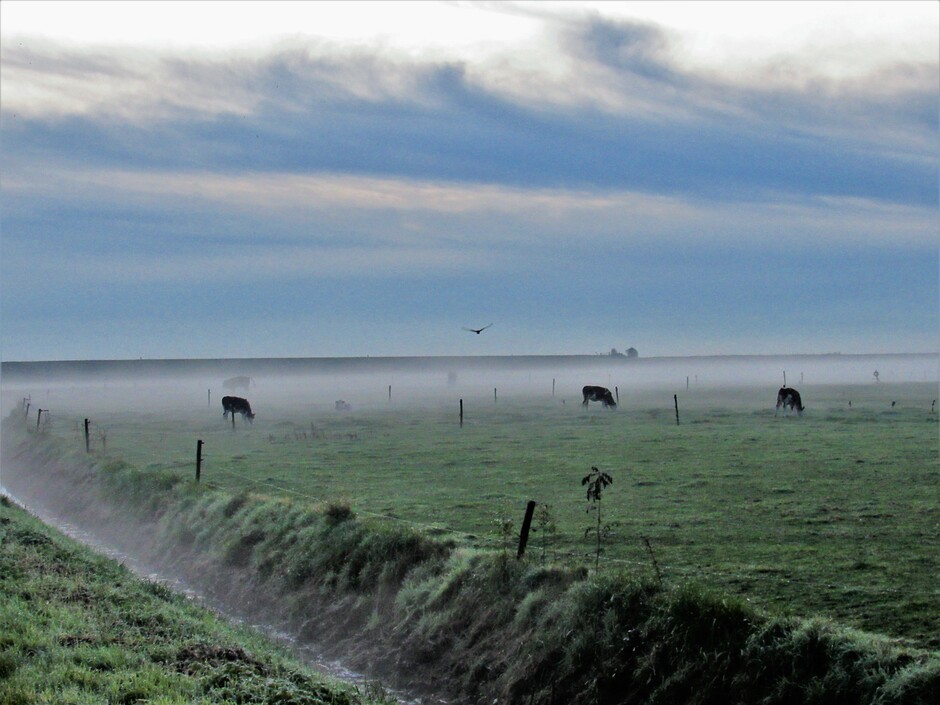 Mist, vanmorgen vroeg voor zonsopkomst, in de polder bij Kats