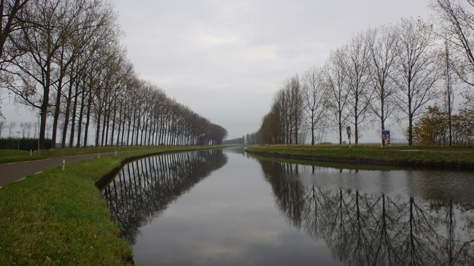 grijs en bewolkt weer 11 gr weerspiegeling v/d bomen in het kanaal