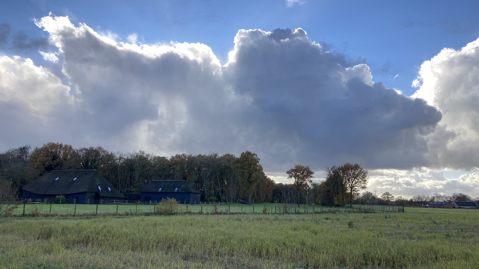 Brabants landschap