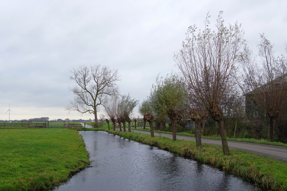 Wind, regen en bewolking in de polder