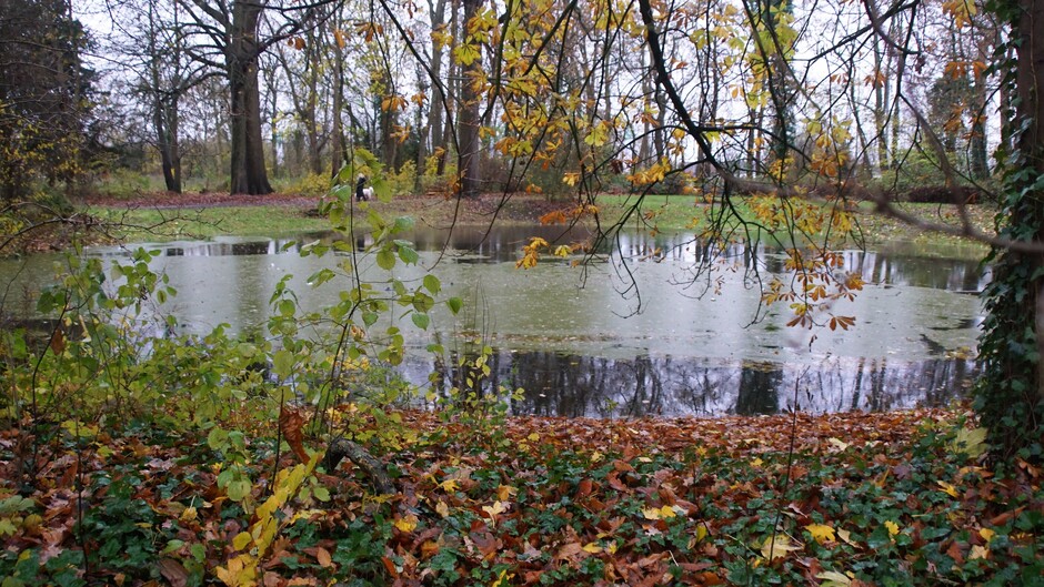 grijs weer met mooie herfstkleuren en reflectie 3 gr wandelaar met hond