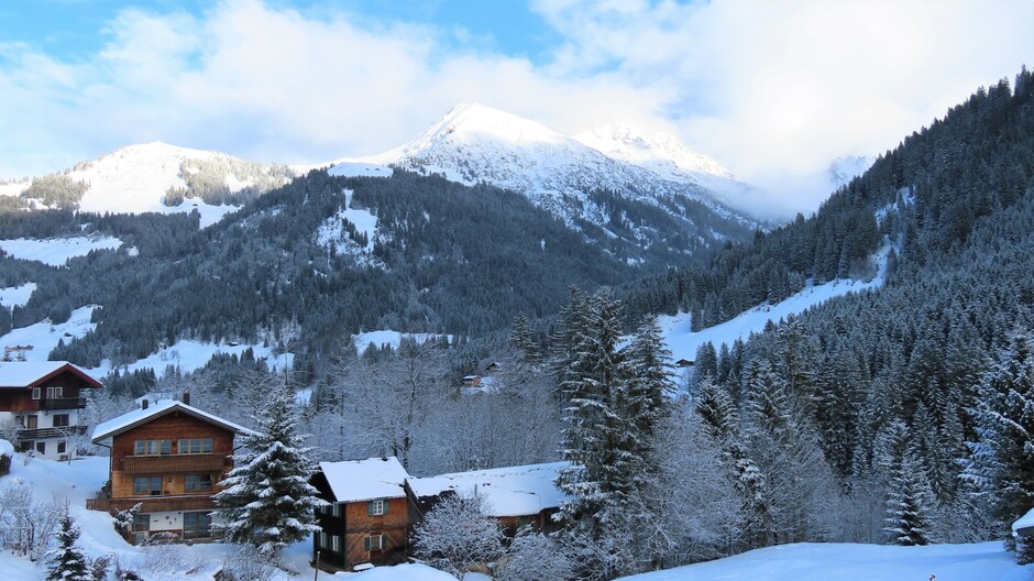 Alpen: winters