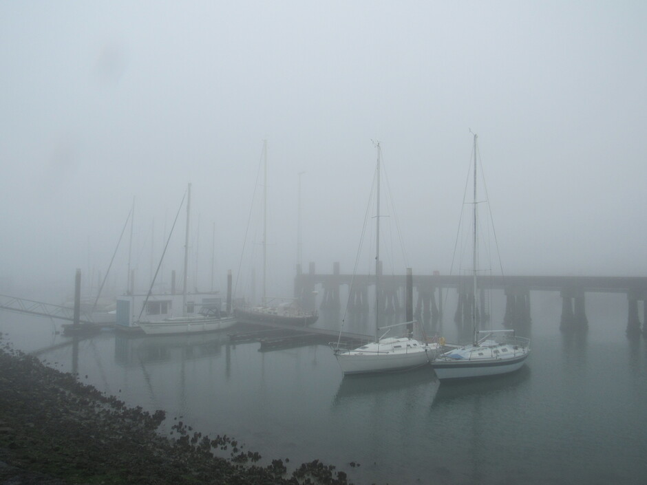Mist tijdens de zonsopkomsttijd, het is een kleine wereld, het is nu 9.28 uur en het is nu dichte mist, bij Kats, Zeeland, bij de Jachthaven