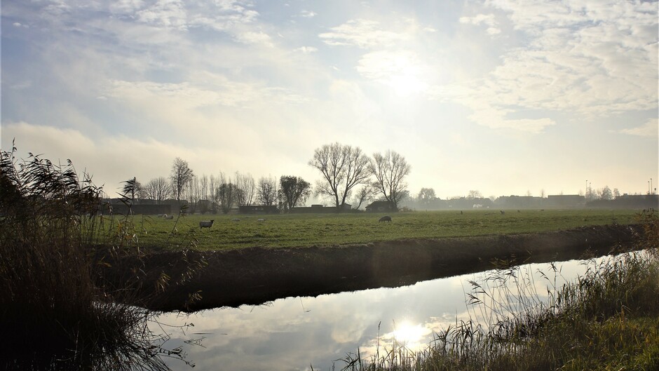 10.49 zon bewolkt opklaringen nevelig 3 gr in de polder met schapen in de wei
