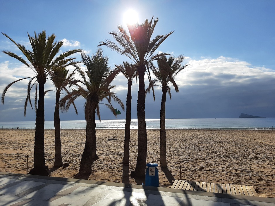 Zon, zee en palmbomen 