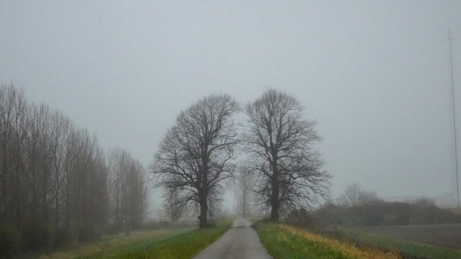 Grenslindes in de mist