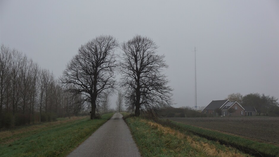 grijs en nevelig/mist vanmorgen 7gr in de polder