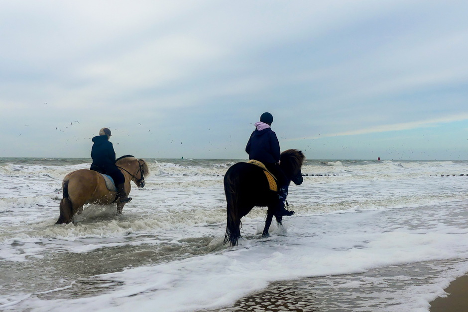 Paardrijden door schuimende golven