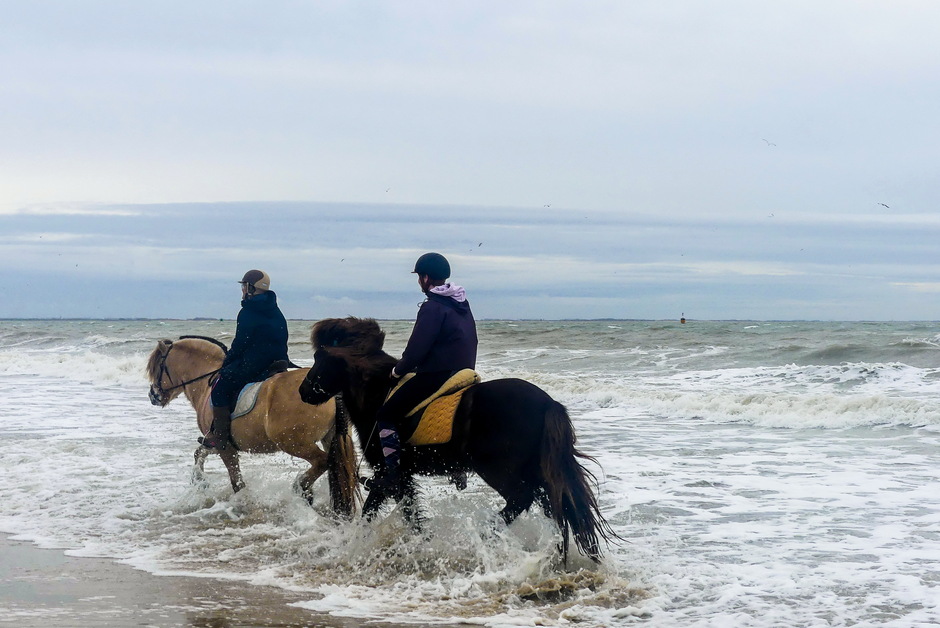 Paardrijden door schuimende golven
