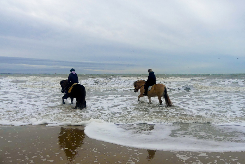 Paardrijden in schuimende golven