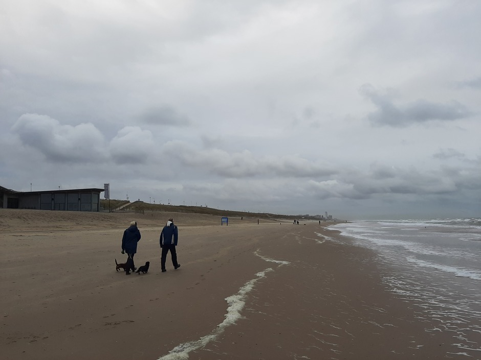 Even met de honden uitwaaien op het strand 