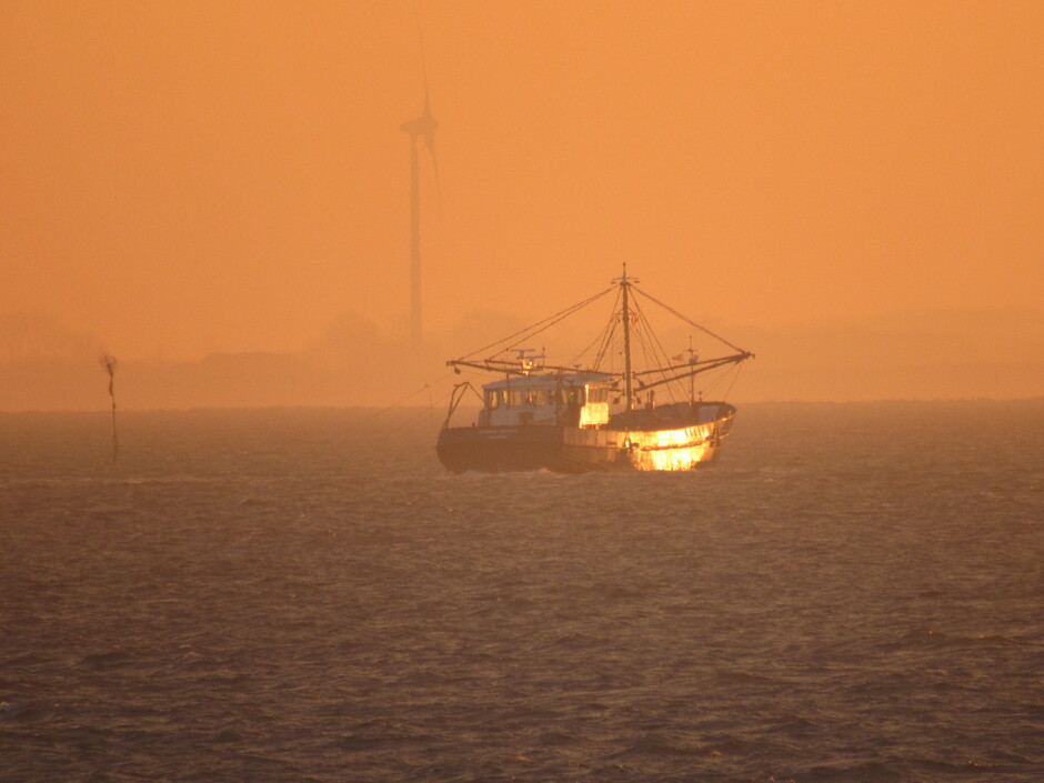 Visserskotter in het vroege zonlicht van de net opgekomen rode zon, op zoek naar het "goud"