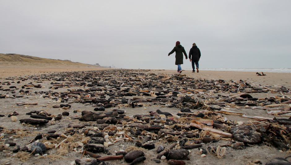 Strand bij Bloemendaal ligt bezaaid met rommel uit zee