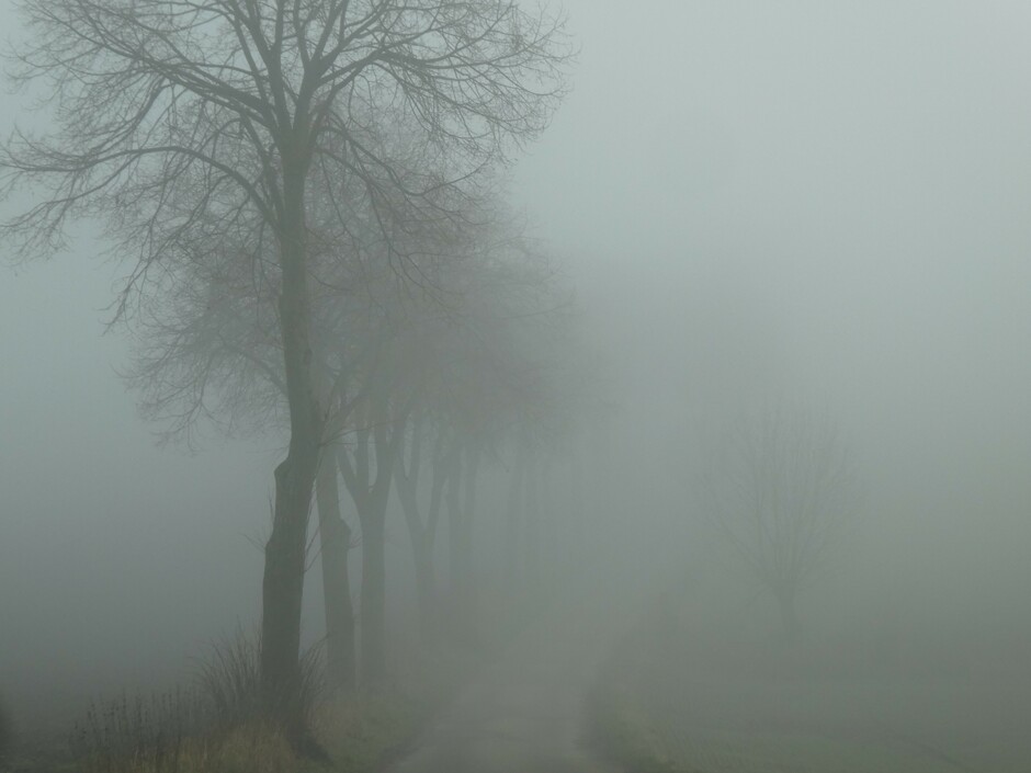 dichte mist