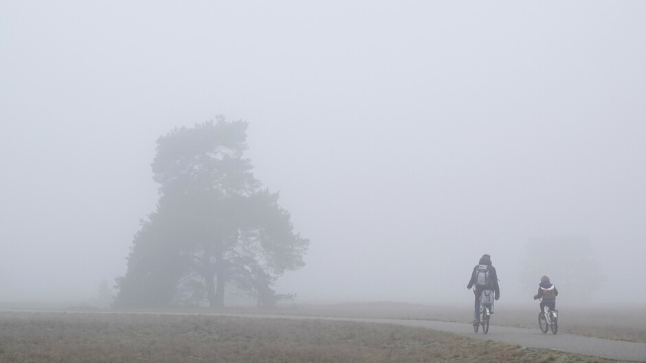 Fietsers in de mist