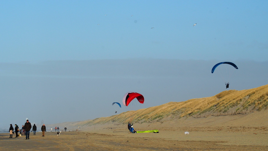 PARAGLIDERS