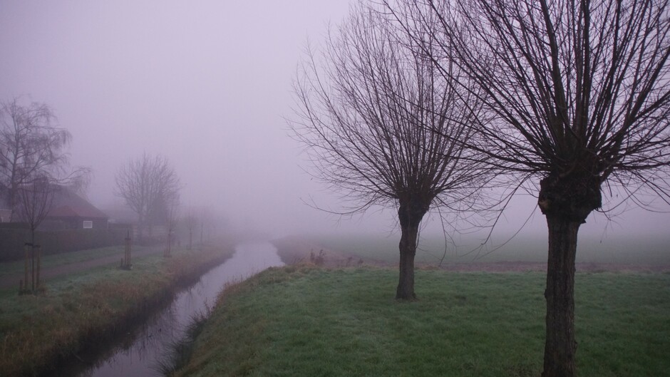 mistige morgen 2 gr windstil in de polder