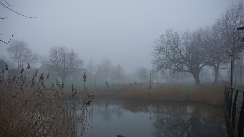 mistige morgen < 200 meter zicht bij de vijver en bruggetje met fietser