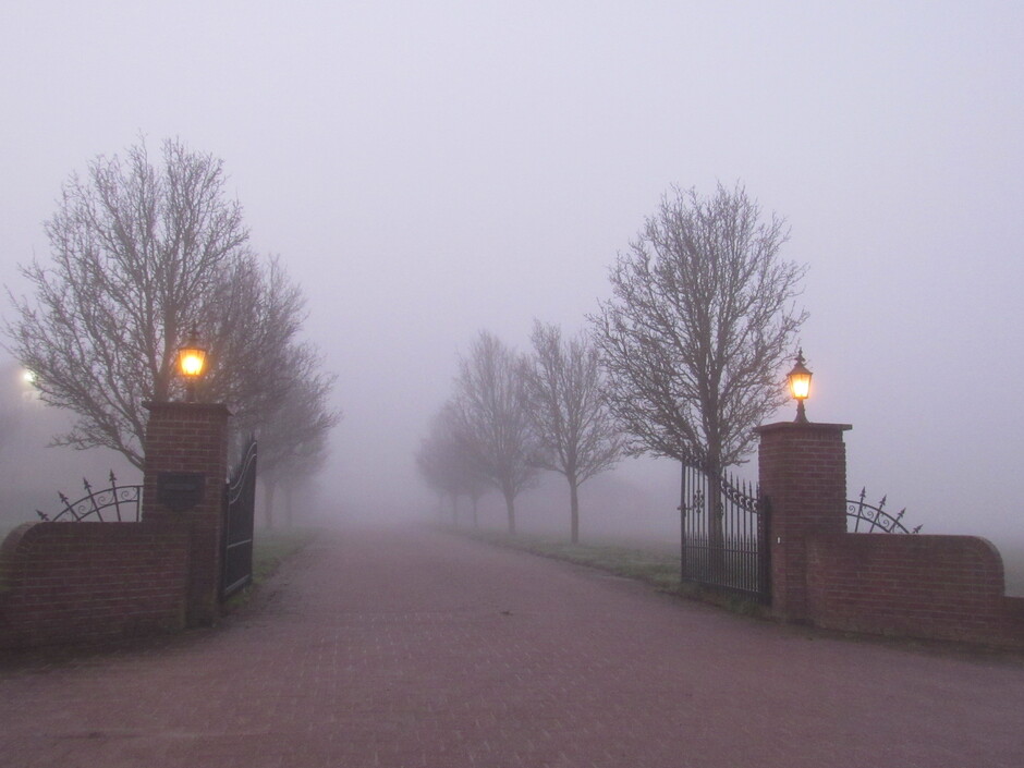 Dichte mist in de polder vanmorgen heel vroeg, bij Kats, Zeeland