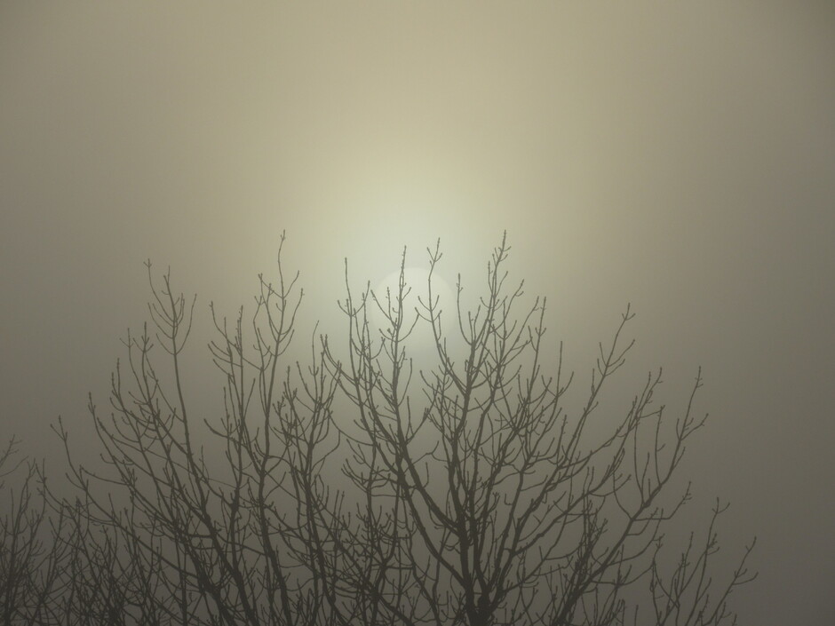 De zon komt voorzichtig door de mist heen