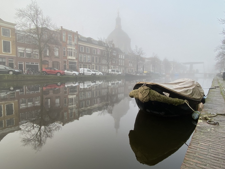 Leiden Mist