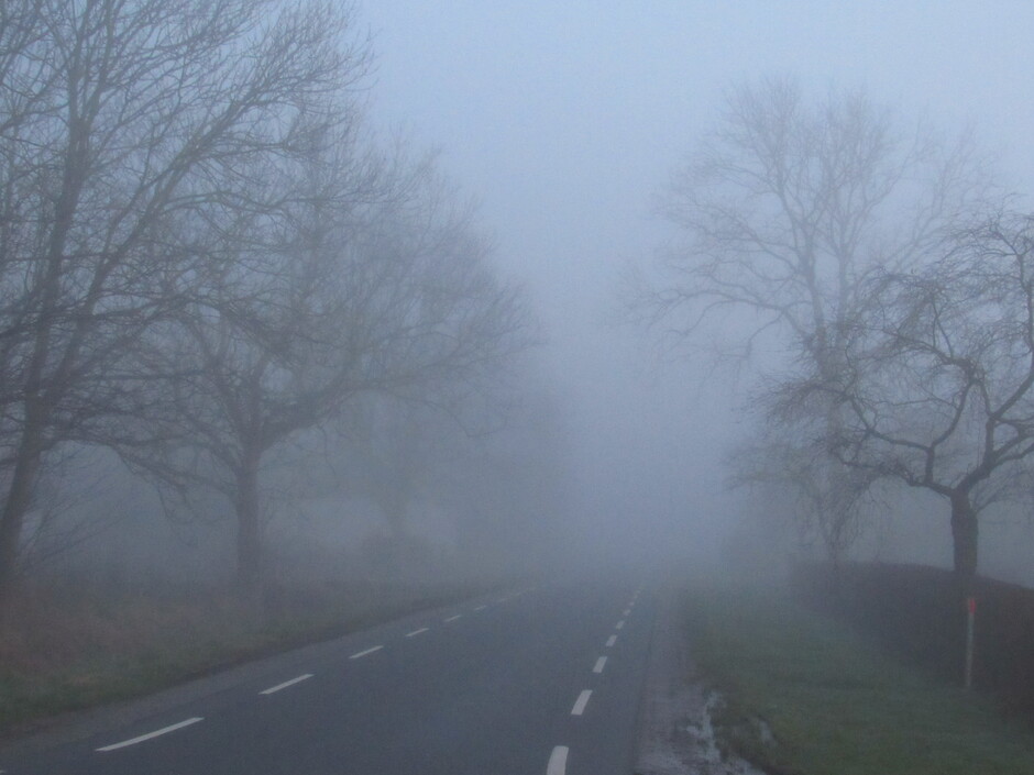 Dichte mist nog steeds, de hele dag is het niet opgeklaard, Kats, Zeeland
