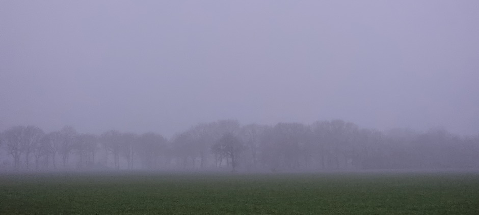 Mist in Groningen 