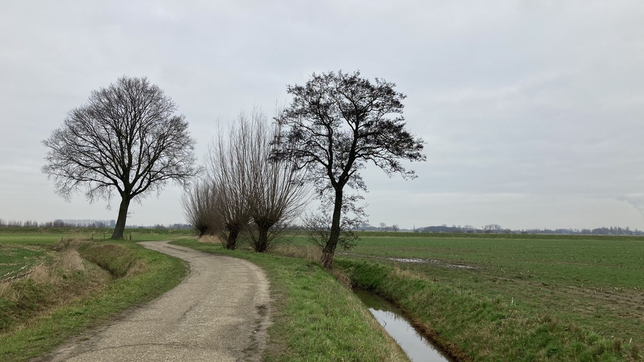 Een grijze dag in noordwest Brabant.
