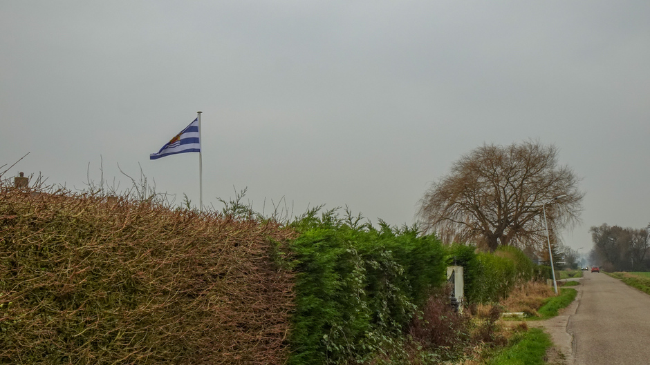 Zeeuwse vlag in de wind 