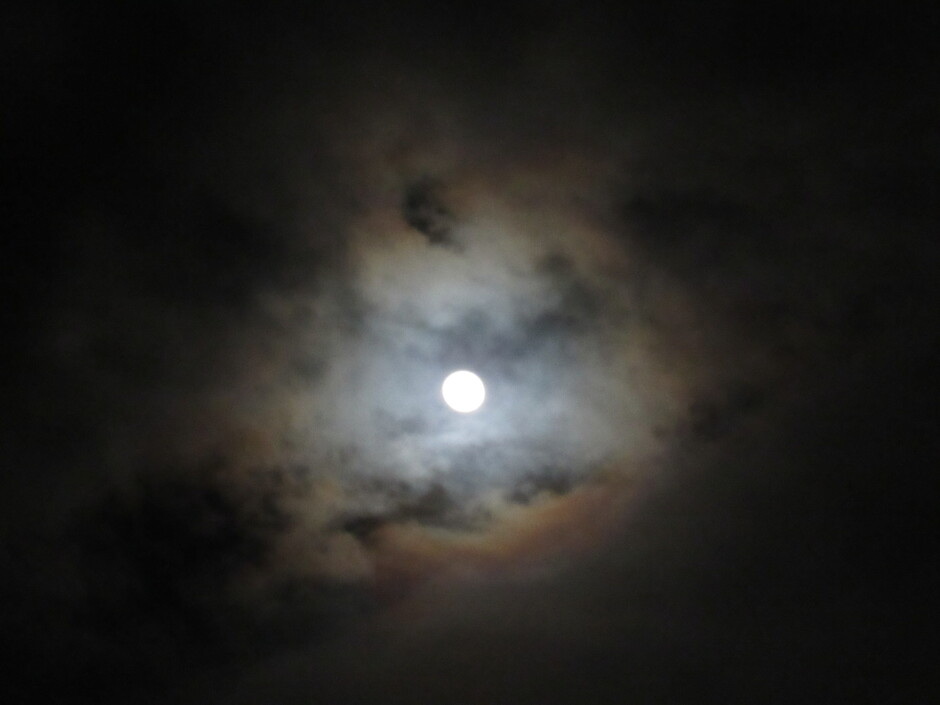 Gekleurde bewolking rond de maan vanavond rond 19.00 uur
