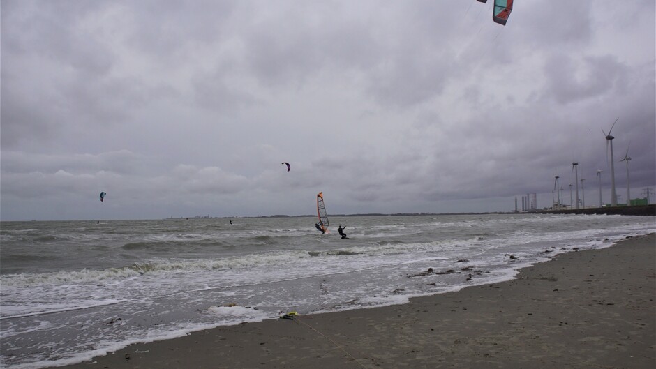 bewolkt wind golven op de Westerschelde 7 gr kitesurfen