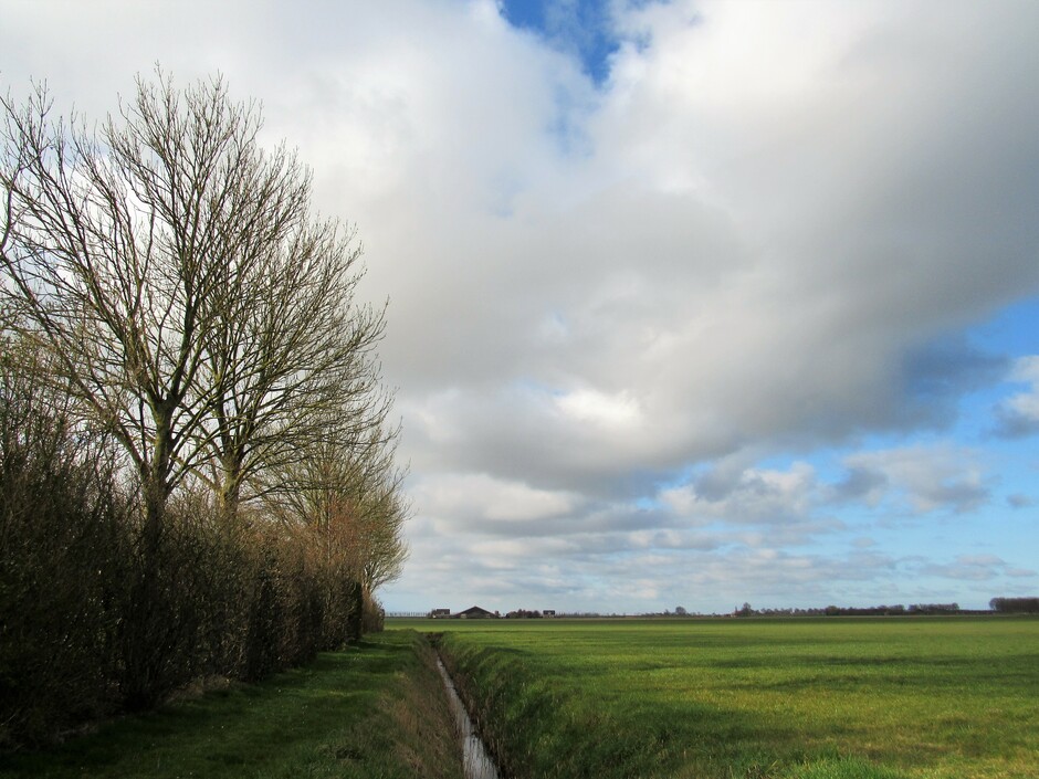 Wolkenluchten met zon in de polder