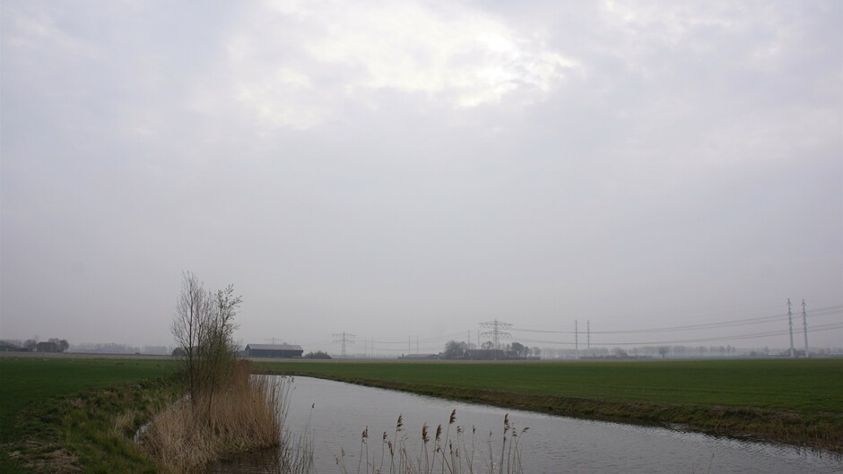 grijs en nevelig weer flets zonnetje 9 gr in de polder