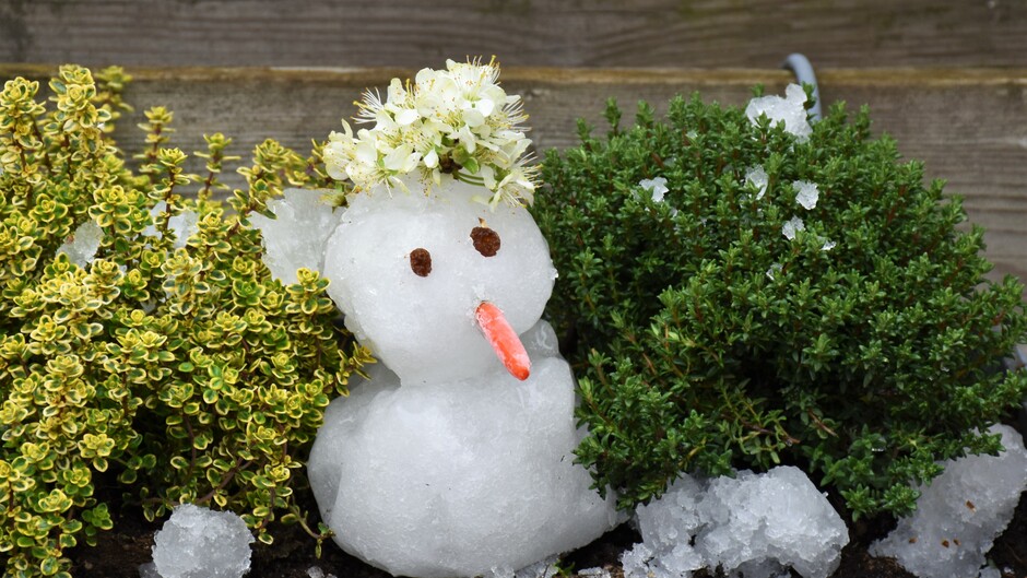 Sneeuwpop met lentepet