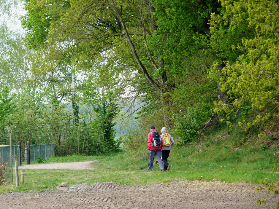 Wandelaars op het Pieter pad.