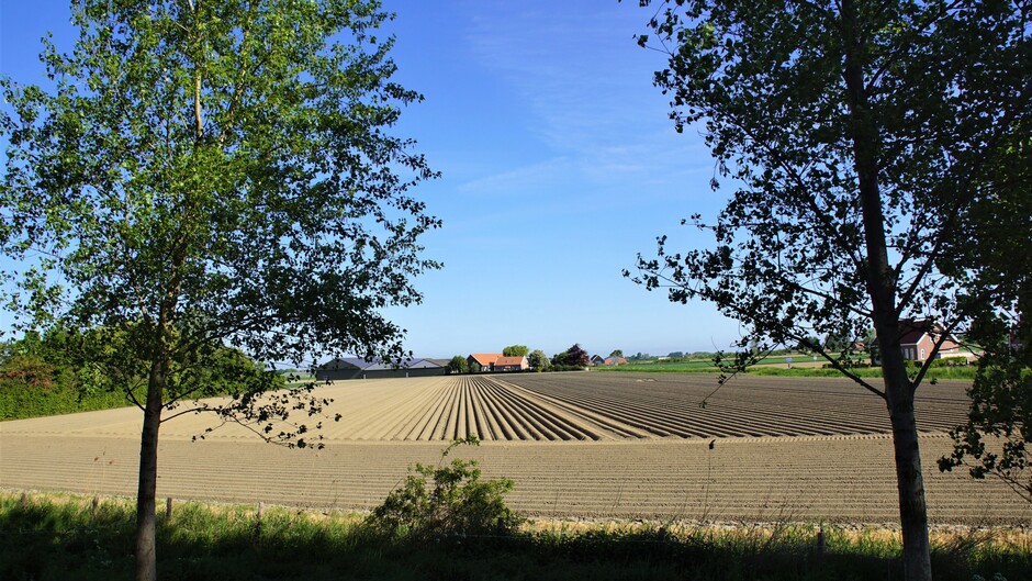 zon blauw doorkijkje op de boerderij met aardappelruggen droog 16 gr