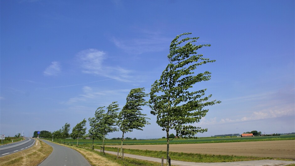zon blauw wolkjes 18 gr stevige wind zie de bomen buigen