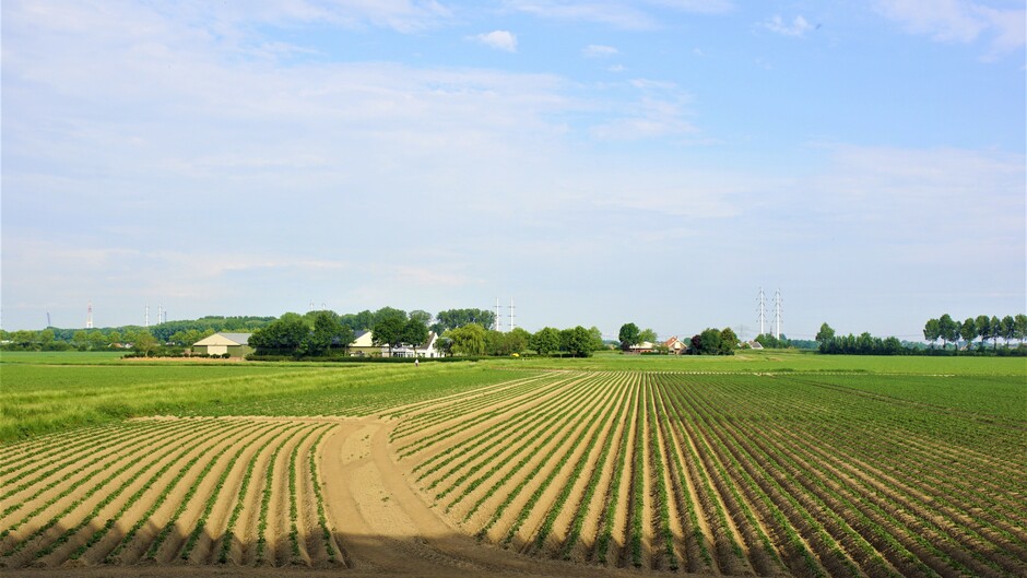 zon blauw wolken 21 gr in de polder met aardappelruggen