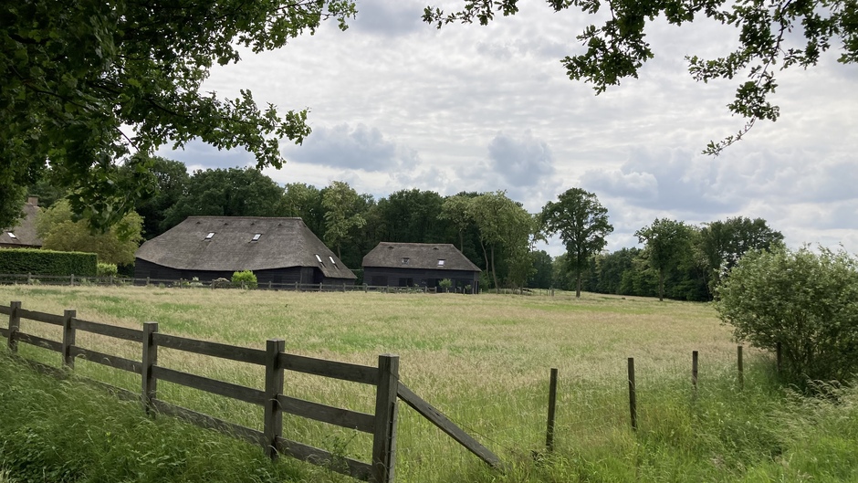 Brabants landschap 