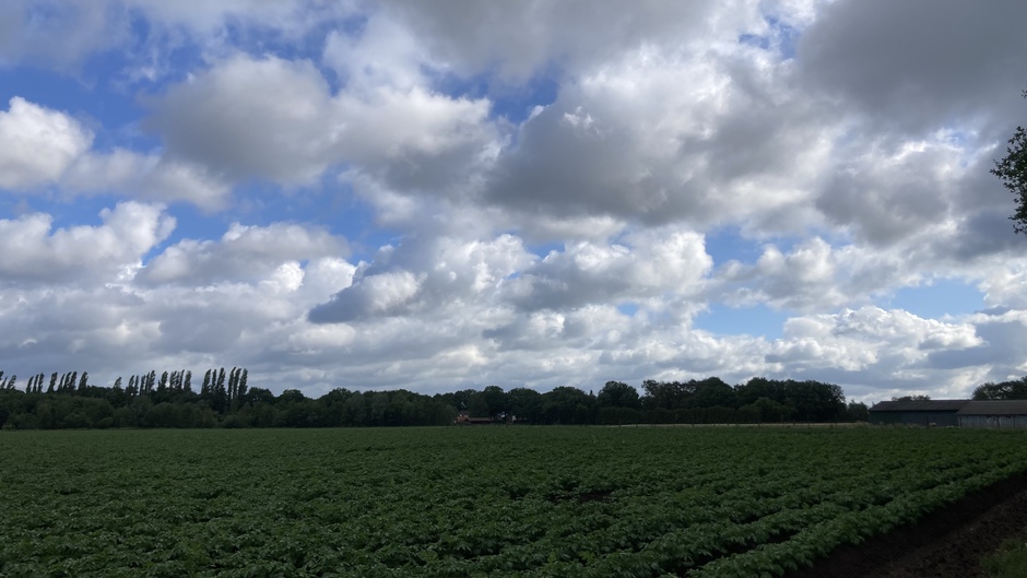 Hollandse wolken 