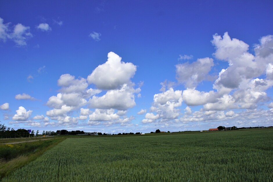 zon blauwe lucht stapelwolken 13 gr in de polder
