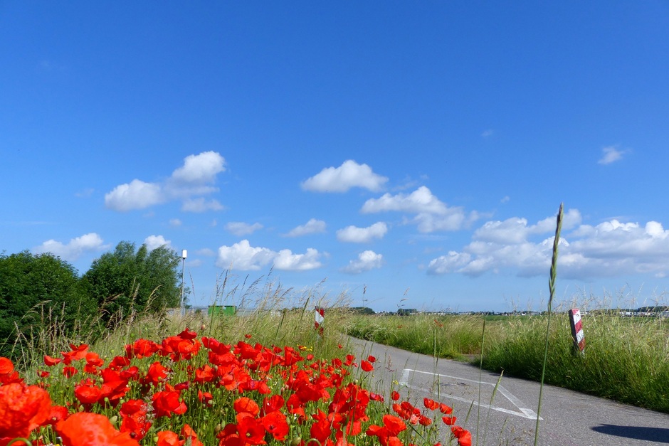 Stuifzand irisatie stapelwolken klaprozen Hollandse luchten polder
