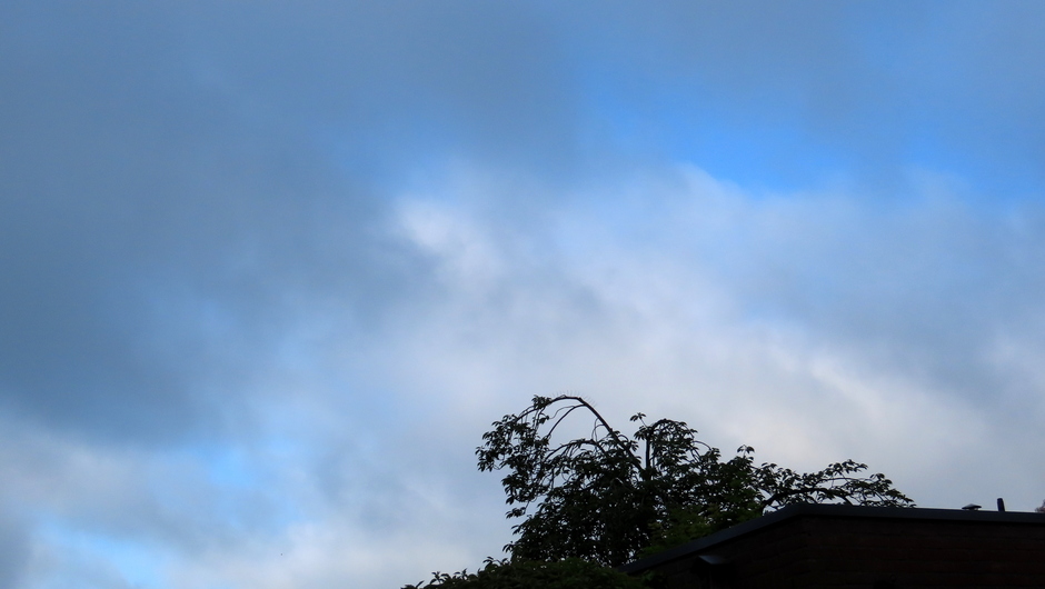 Echte duifjes en een windwijzer  op het dak in de ochtend met beetje blauw en veel wolken.