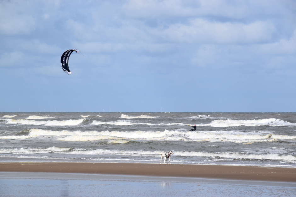 surfer wind en zon aan zee