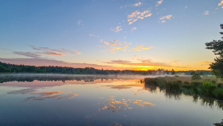 Prachtige zonsopkomst met ochtenddauw over het meer