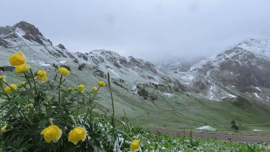Alpen: van 'winter' naar 'zomer' in drie dagen