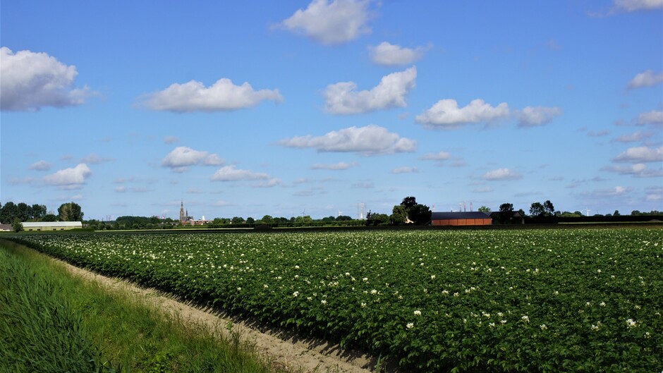zon blauwe lucht wolkjes 17 gr in de polder