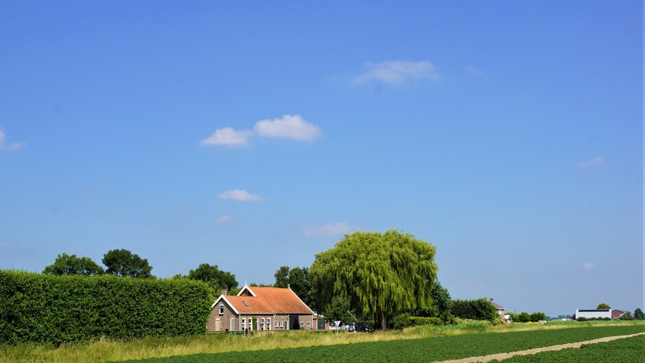 zon strak blauwe lucht paar wolkjes 25 gr in de polder