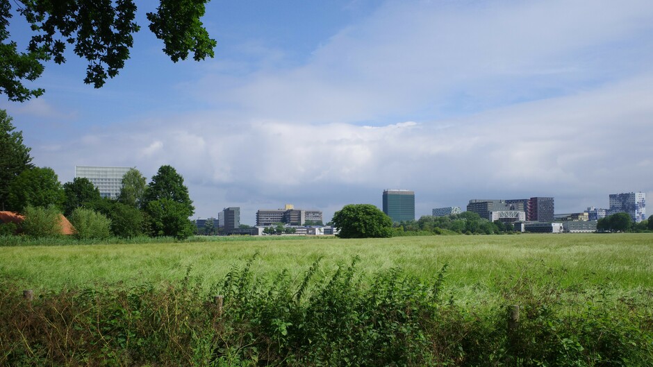 Mix van wolken en zon in Midden-Nederland 